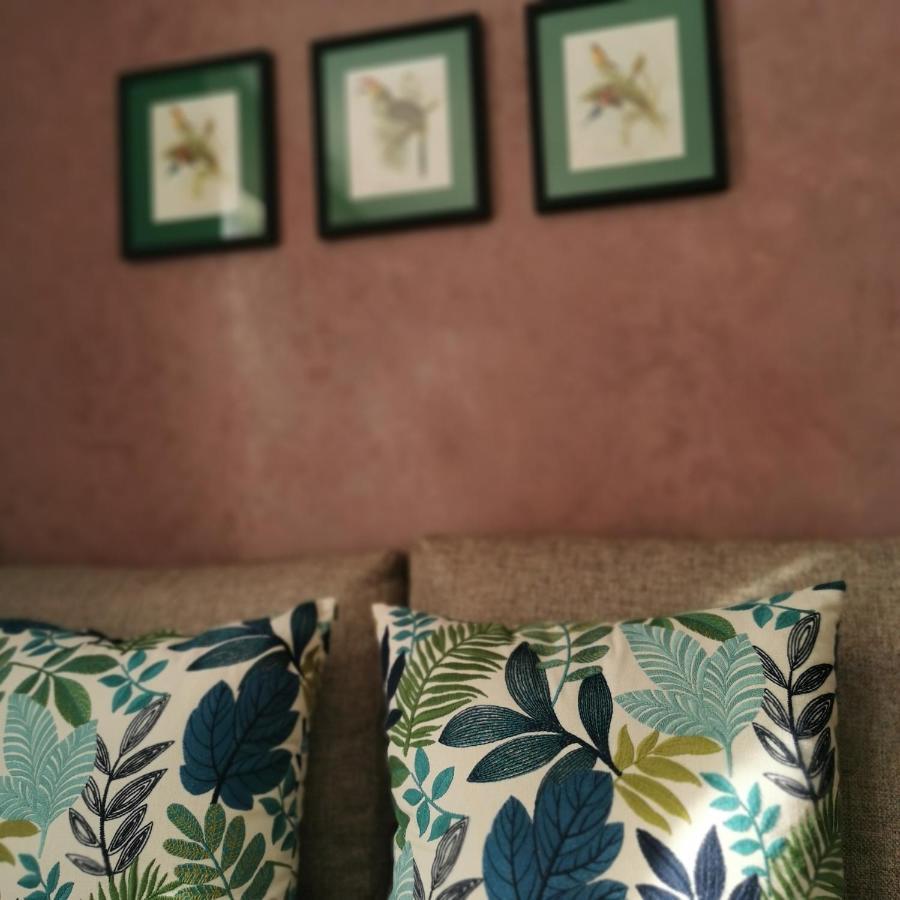 Teddy Pirate - Coliving Hostel Тагазут Екстериор снимка